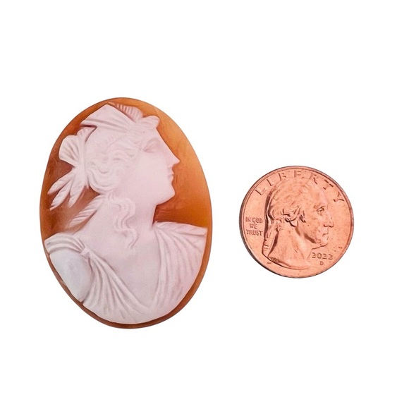 GORGEOUS Victorian Antique Large Unmounted Shell Cameo Large Goddess/God - Picture 8 of 12